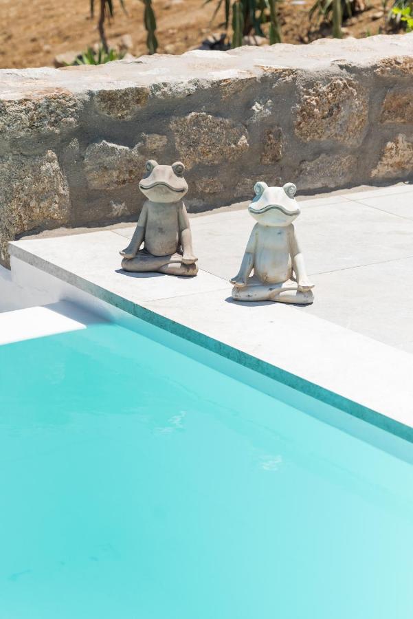 Dioni Villa Mykonos Paraga  Luaran gambar