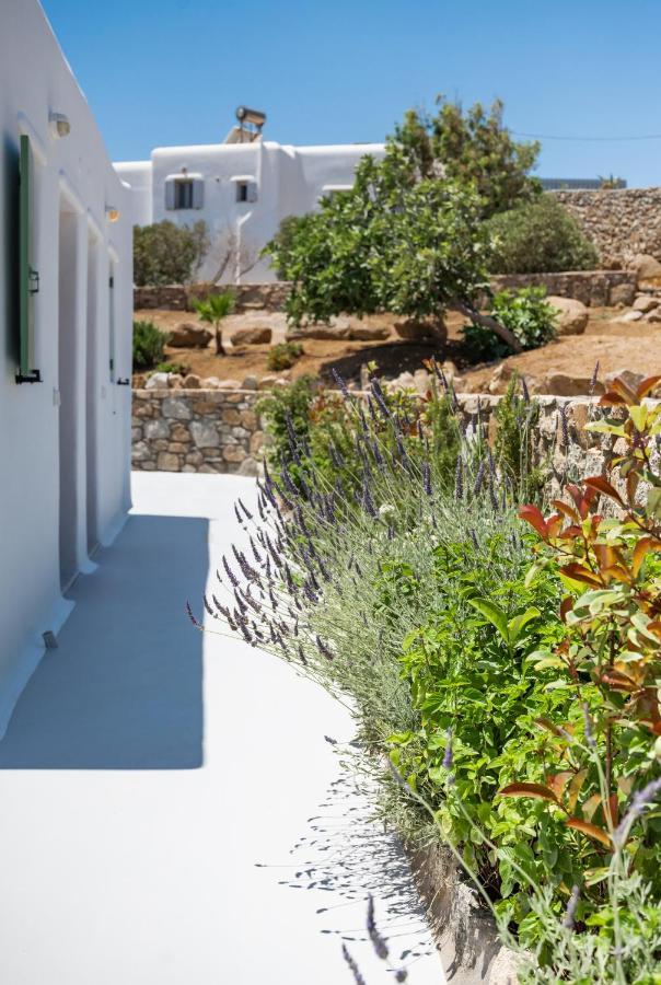Dioni Villa Mykonos Paraga  Luaran gambar